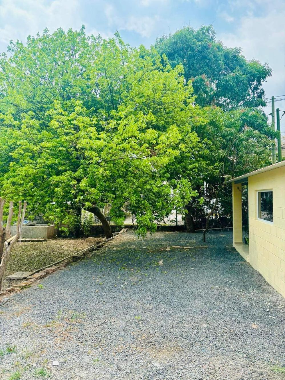 Hostal Camila'S Tamanique Kültér fotó