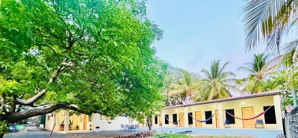 Hostal Camila'S Tamanique Kültér fotó